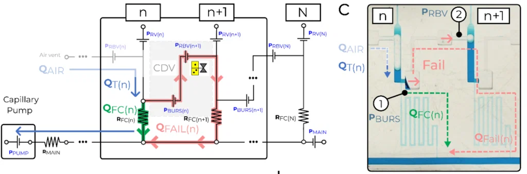 Phân tích mạch và thực nghiệm xác định cửa sổ hoạt động cho phản ứng dây chuyền vi lỏng - Image 1