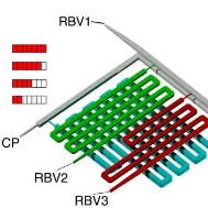 Chip xét nghiệm tự động dựa trên vi lỏng nguyên khối in 3D