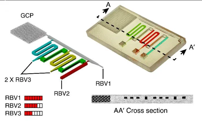 Chip vi lỏng chức năng in 3D, sẵn sàng sử dụng - Image 1