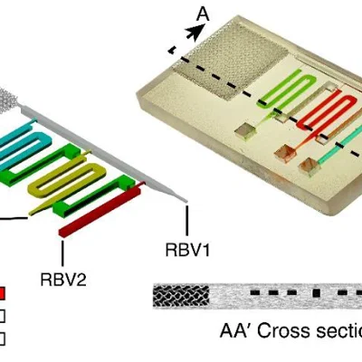 Chip vi lỏng chức năng in 3D, sẵn sàng sử dụng