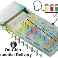 Chip ELISA mao quản in 3D có chia mẫu
