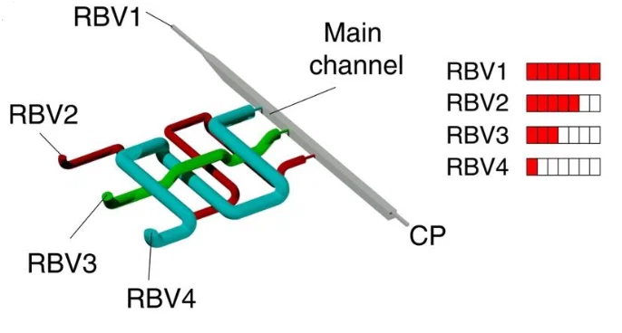 Chip vi lỏng in 3D nguyên khối với ống dẫn lõm tiết diện tròn - Image 1