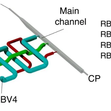 Chip vi lỏng in 3D nguyên khối với ống dẫn lõm tiết diện tròn
