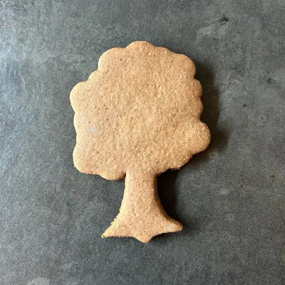 Khuôn Cắt Bánh Hình Cây Lá Rộng