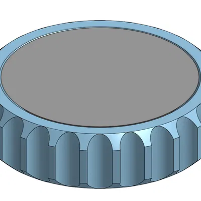 Con Quay Fidget In Hình Đồng Xu Bambu Lab