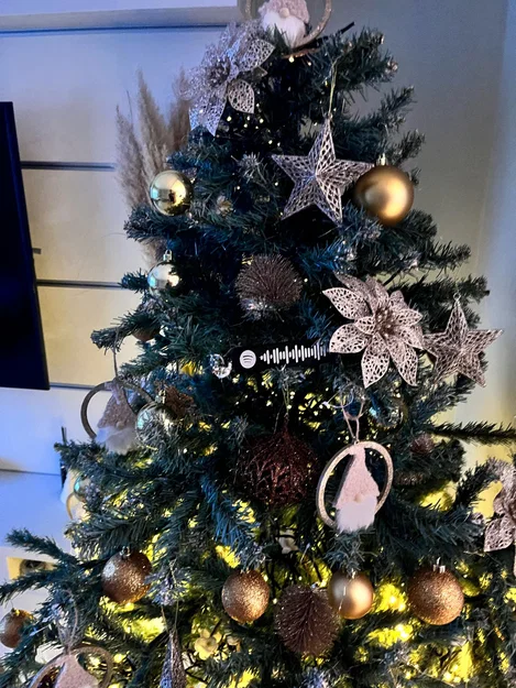 mã spotify - all i want for christmas - Image 2