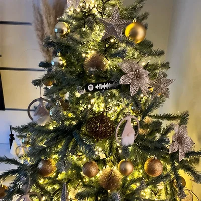 mã spotify - all i want for christmas