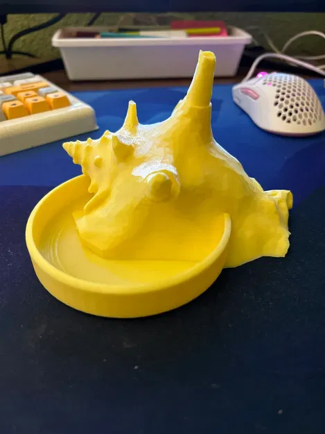 Đế Giữ Nhẫn Vỏ Sò Biển - Image 1