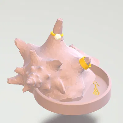 Đế Giữ Nhẫn Vỏ Sò Biển