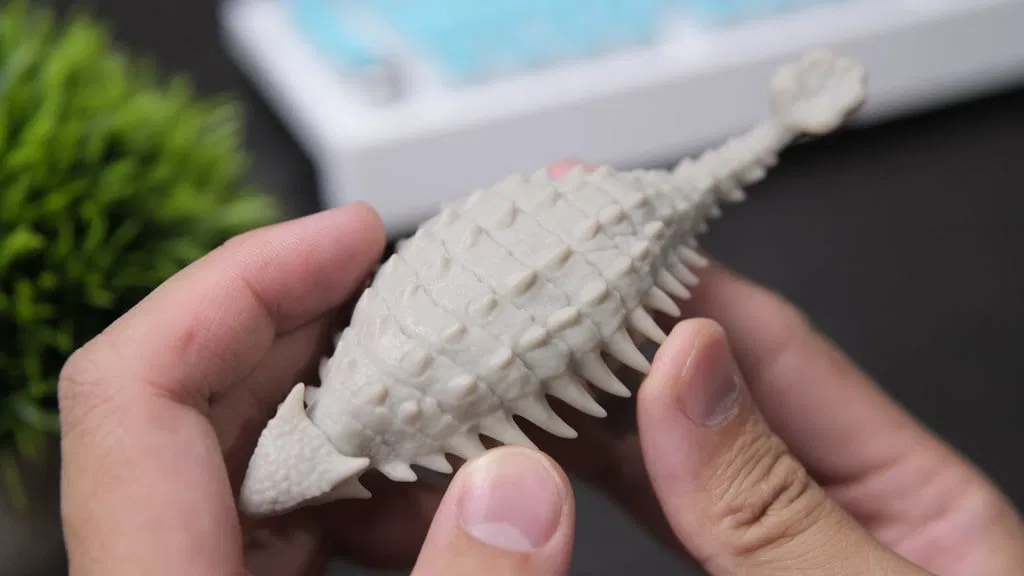 Khung FEP cho Photon M3 - Image 2