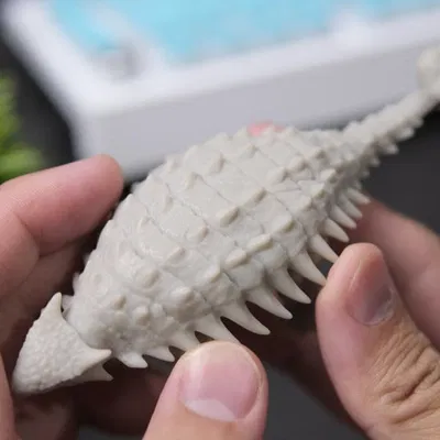 Khung FEP cho Photon M3