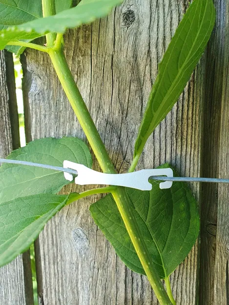 Kẹp Giữ Dây Cho Cây Leo - Image 1