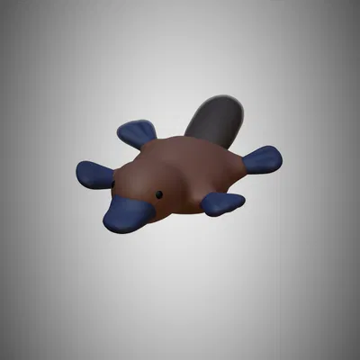 Vịt Lộn Nhỏ (Little Platypus)