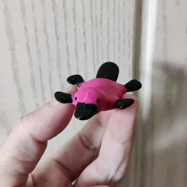 Vịt Lộn Nhỏ (Little Platypus) - Image 2