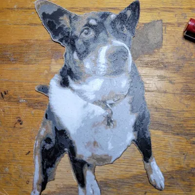 Chó cưng Valencia của tôi