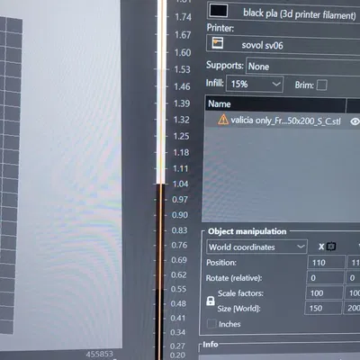 Chó cưng Valencia của tôi