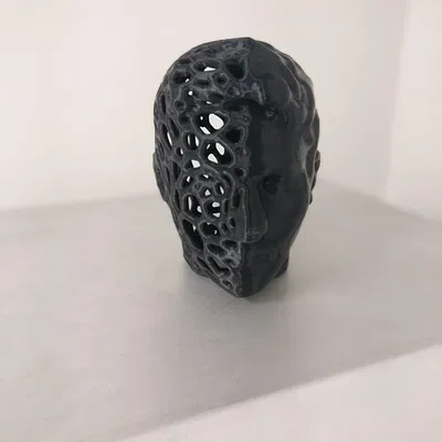 Voronoi Two-Face (Đầu Hai Mặt Voronoi)