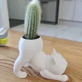 Chậu Xương Rồng Hình Mèo - Thumbnail 1