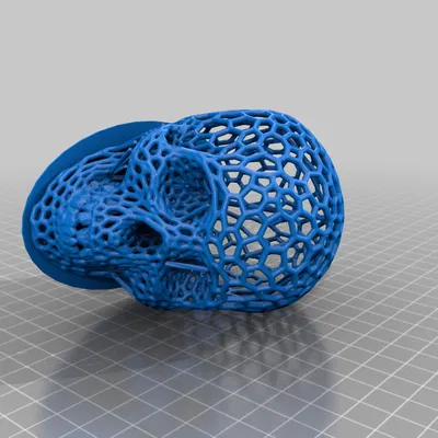 Hộp sọ Tùy chỉnh