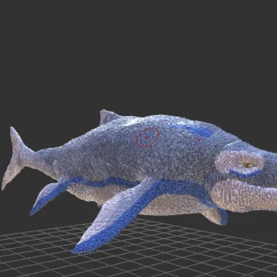 Lịch Vạn Niên Số 11: Megapterygius