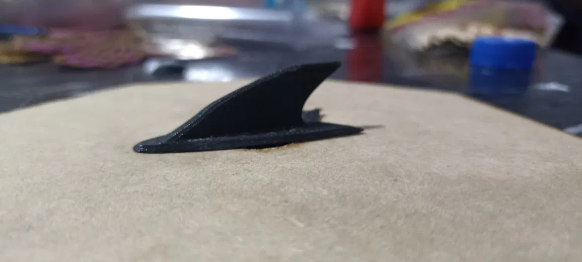 Vây Cá Mập - ALETA DE TIBURON, SHARK FIN - Image 1