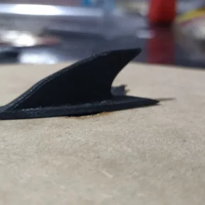 Vây Cá Mập - ALETA DE TIBURON, SHARK FIN