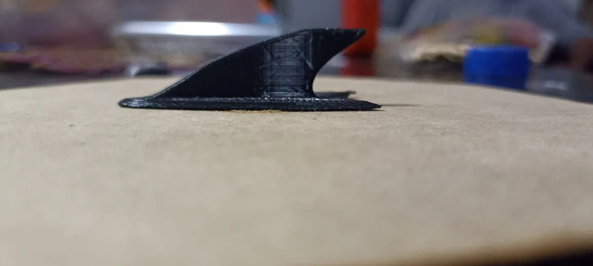 Vây Cá Mập - ALETA DE TIBURON, SHARK FIN - Image 3