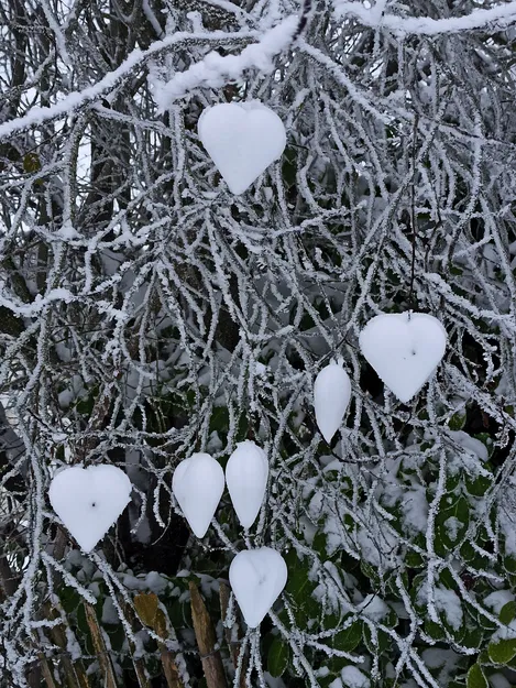 Khuôn Tạo Hình Trái Tim Tuyết - Image 2