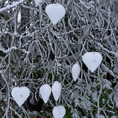 Khuôn Tạo Hình Trái Tim Tuyết