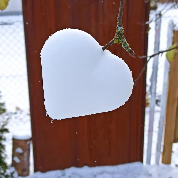 Khuôn Tạo Hình Trái Tim Tuyết - Image 5