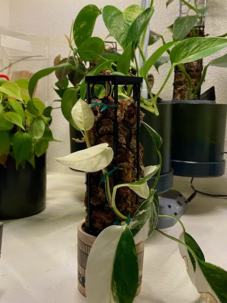 Cột Rêu Gấp. In Nhanh Không Cần Hỗ Trợ - Image 1