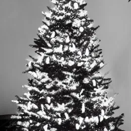 Móc treo cây thông Noel hình cây thông (Ornamentception)