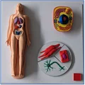 Tấm Cơ Thể 1 - Tệp In và Bài Học - Thumbnail 1