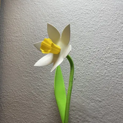 Cành Hoa Thủy Tiên Đẹp