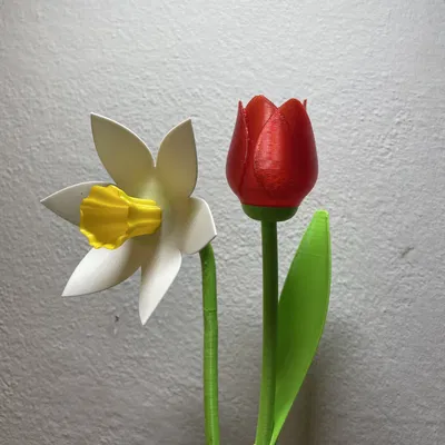 Cành Hoa Thủy Tiên Đẹp