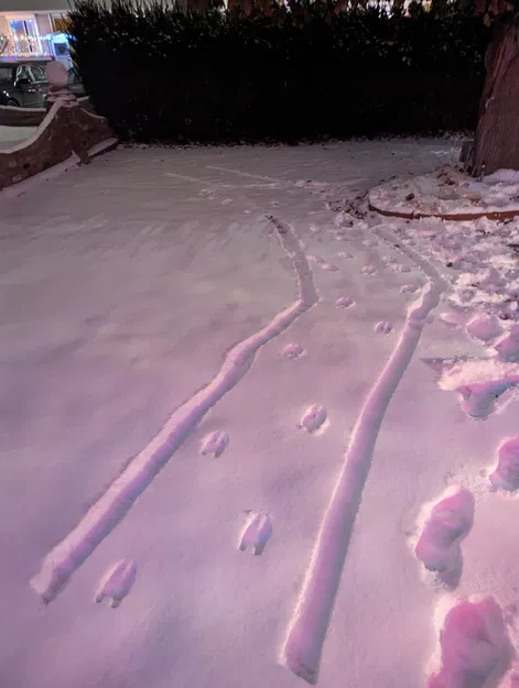 Dấu Chân Tuần Lộc Gắn Cán Chổi - Image 2