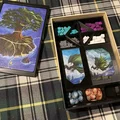Hộp đựng Organizer cho Eight Minute Empire Legends & Lost Lands - Thumbnail 2