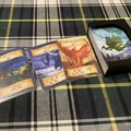 Hộp đựng Organizer cho Eight Minute Empire Legends & Lost Lands - Thumbnail 9