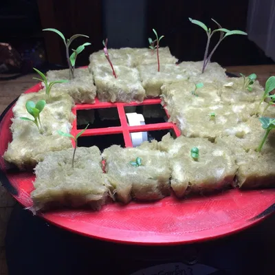 Khay ươm hạt cho AeroGarden 3 và đá khoáng