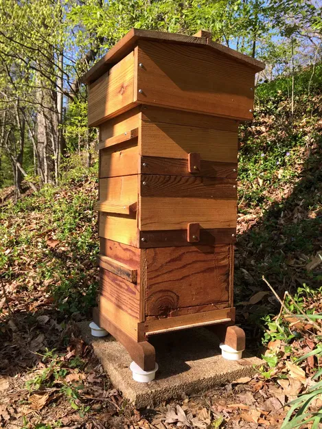 Chân Tổ Ong Chặn Kiến - Image 4