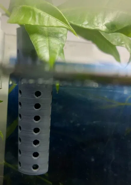 Chậu cây thủy sinh trồng tép ẩn mình dưới rễ cây - Image 2