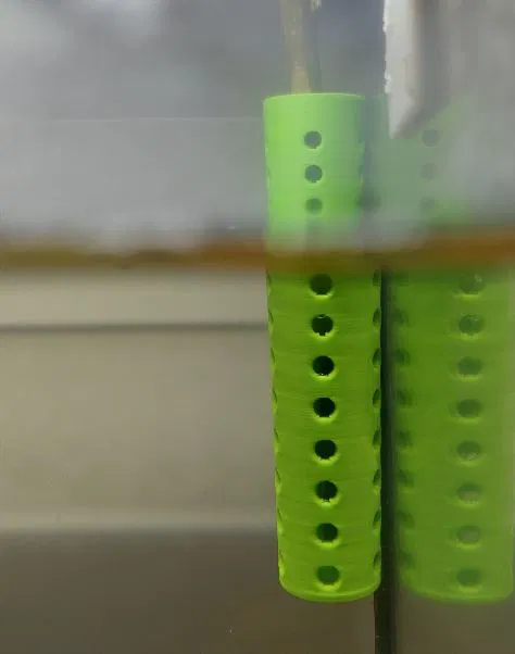 Chậu cây thủy sinh trồng tép ẩn mình dưới rễ cây - Image 4