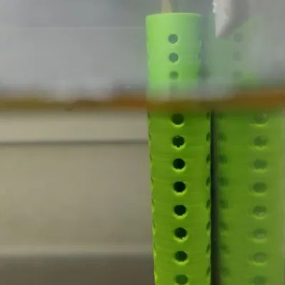 Chậu cây thủy sinh trồng tép ẩn mình dưới rễ cây