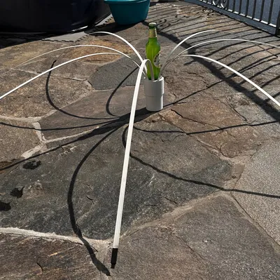 Chống Chim Hải Âu Cho Thuyền