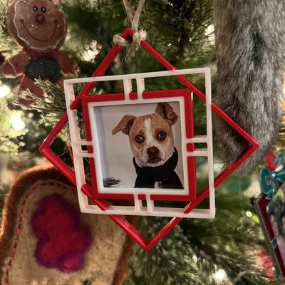 Khung Giáng Sinh 2 Màu Siêu Dễ In Cho Cây Thông Noel 1 3/4"x1 3/4"