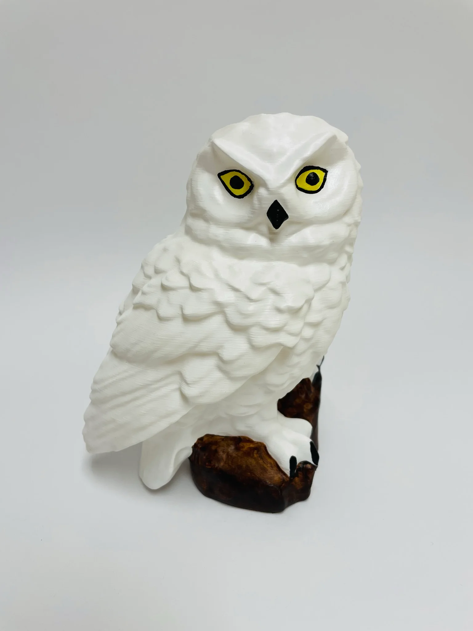 Cú Tuyết (Hedwig) Đáy Phẳng 1