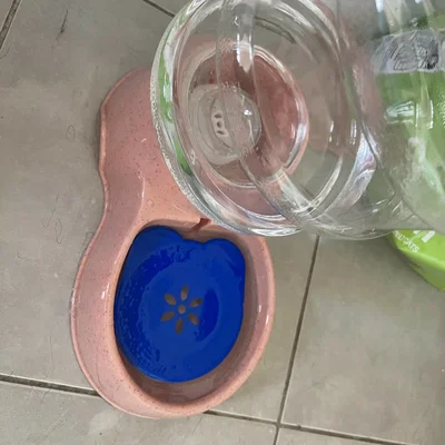 Tô Cho Chó Chống Văng Nước