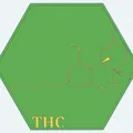 Tranh Phân Tử THC – Mô Hình Hóa Học In 3D (Bản Cập Nhật 2025) - Thumbnail 2