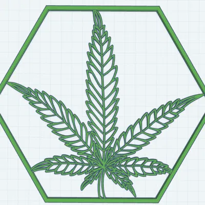 Tranh Treo Tường Lá Gai Dầu