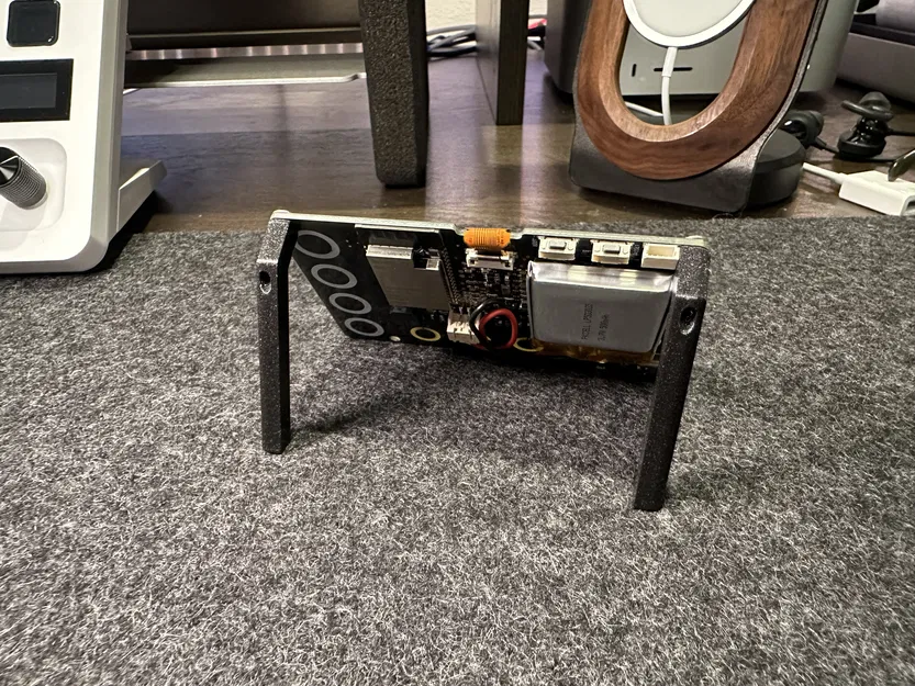 Chân Phambili Newt - Image 3